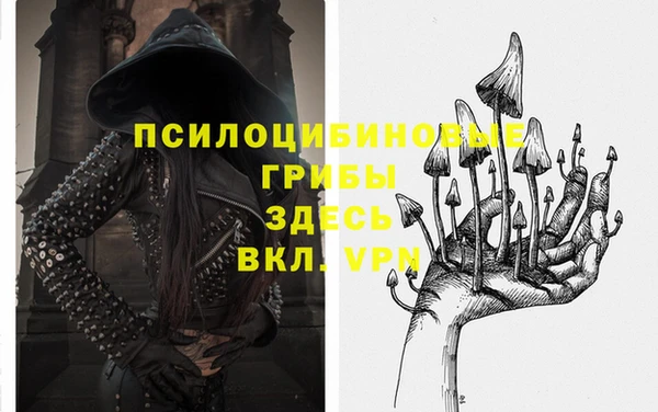 хмурый Арсеньев