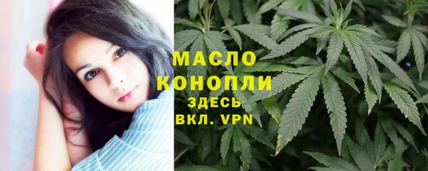 сатива Армянск