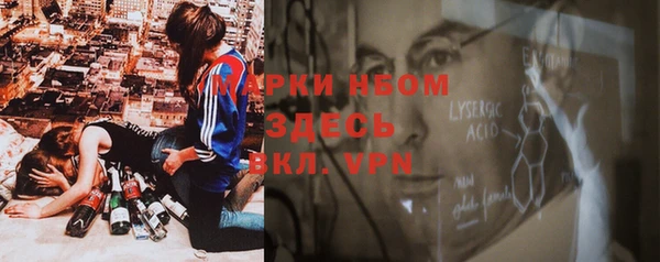 сатива Армянск